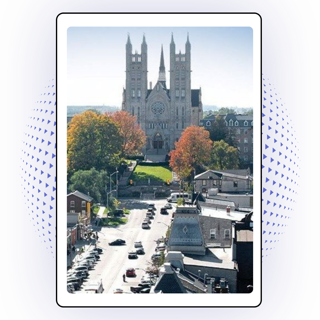 pest control Guelph Ontario | pest removal Guelph | bed bug treatment Guelph